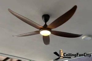alpha-vannus-luna-series-alpha-ceiling-fan-models-in-singapore-which-one-is-right-for-you-alpha-ceiling-fan-ceiling-fan-city-singapore