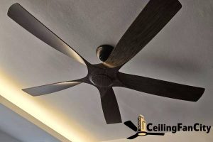 choosing-the-right-model-alpha-ceiling-fan-models-in-singapore-what-you-need-to-know-alpha-ceiling-fan-ceiling-fan-city-singapore