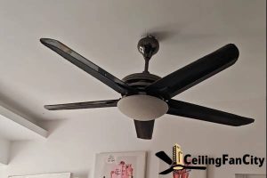 consider-the-room-size-alpha-ceiling-fan-models-in-singapore-which-one-is-right-for-you-alpha-ceiling-fan-ceiling-fan-city-singapore