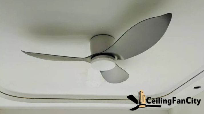 Why Choose a Mistral Ceiling Fan for Your Home in Singapore?