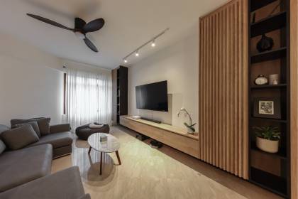home-mould-removal-ceiling-fan-city-singapore