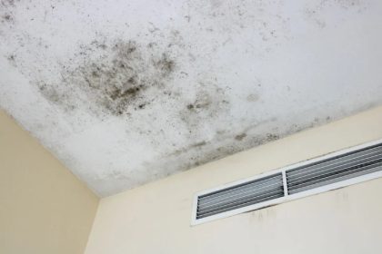 mould-on-ceiling-mould-removal-ceiling-fan-city-singapore