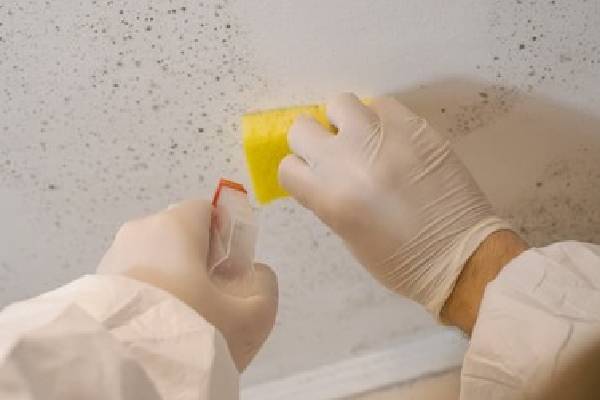 mould-removal-ceiling-fan-city-singapore-2