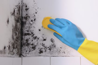 wall-mould-removal-ceiling-fan-city-singapore